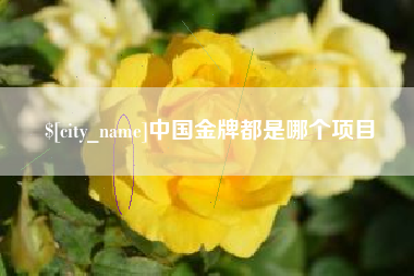 陇南中国金牌都是哪个项目