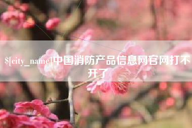 陇南中国消防产品信息网官网打不开了