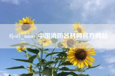 陇南中国消防器材网官方网站