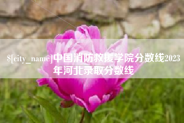 陇南中国消防救援学院分数线2023年河北录取分数线