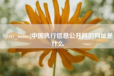 陇南中国执行信息公开网的网址是什么