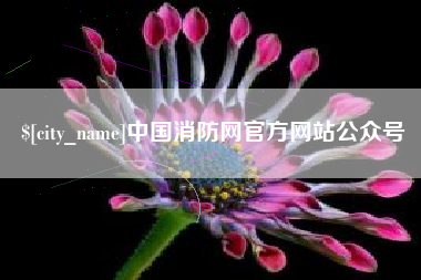 陇南中国消防网官方网站公众号