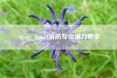 陇南消防专业视力要求