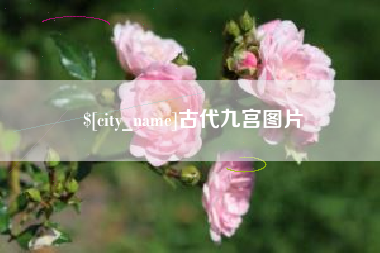 陇南古代九宫图片