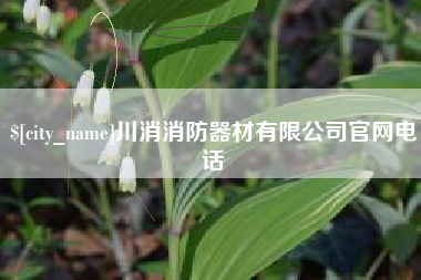 陇南川消消防器材有限公司官网电话