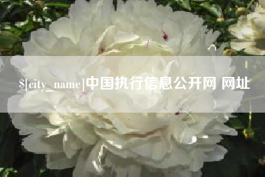 陇南中国执行信息公开网 网址