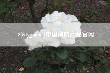 陇南中国消防产品官网