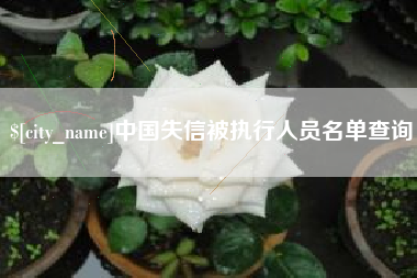 陇南中国失信被执行人员名单查询