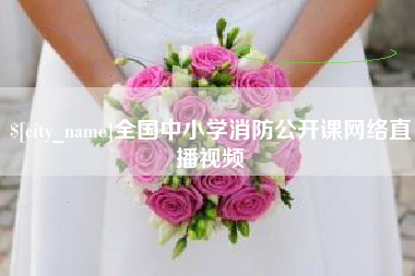 陇南全国中小学消防公开课网络直播视频