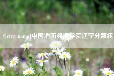 陇南中国消防救援学院辽宁分数线