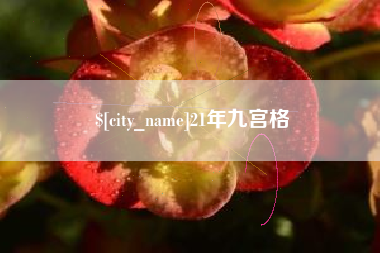 陇南21年九宫格