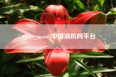 陇南中国消防网平台