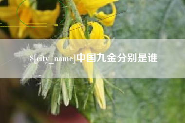 陇南中国九金分别是谁