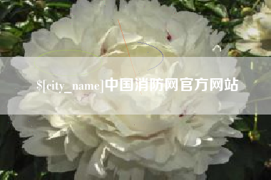 陇南中国消防网官方网站