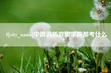 陇南中国消防救援学院都考什么