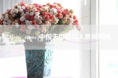 陇南中国失信执行人查询官网