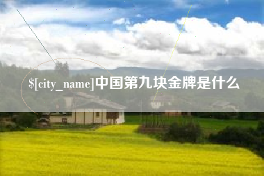 陇南中国第九块金牌是什么