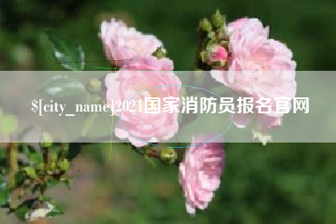 陇南2021国家消防员报名官网