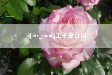 陇南王子豪百科
