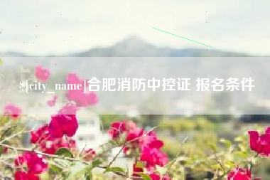 陇南合肥消防中控证 报名条件