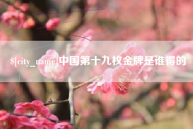 陇南中国第十九枚金牌是谁得的