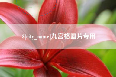 陇南九宫格图片专用