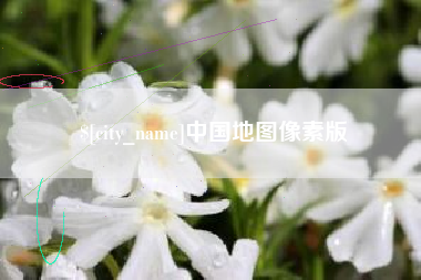 陇南中国地图像素版