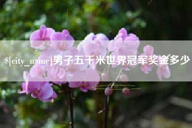 陇南男子五千米世界冠军奖金多少