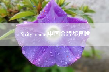 陇南中国金牌都是啥