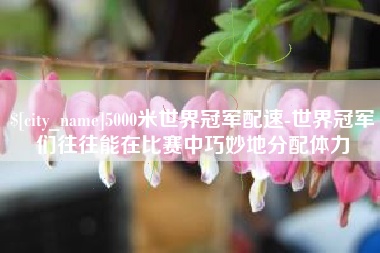 陇南5000米世界冠军配速-世界冠军们往往能在比赛中巧妙地分配体力