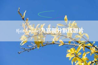 陇南九宫图分割线图片