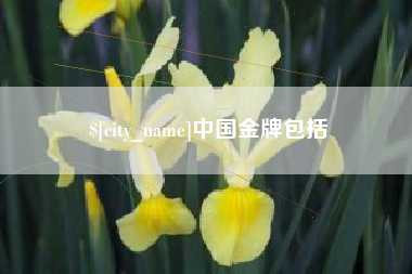 陇南中国金牌包括