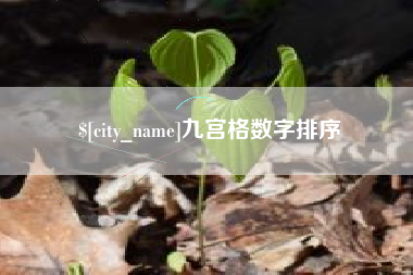陇南九宫格数字排序