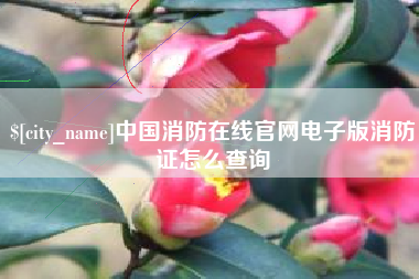 陇南中国消防在线官网电子版消防证怎么查询