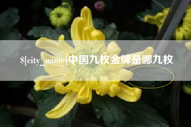 陇南中国九枚金牌是哪九枚