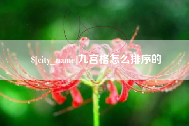 陇南九宫格怎么排序的
