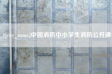 陇南中国消防中小学生消防公开课