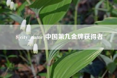 陇南中国第九金牌获得者