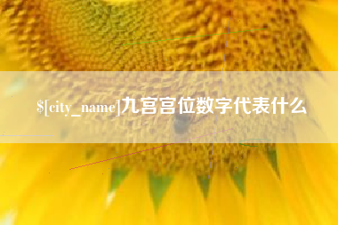陇南九宫宫位数字代表什么