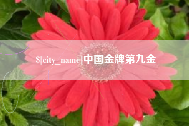 陇南中国金牌第九金