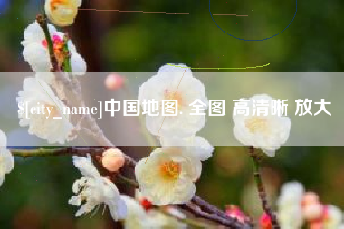 陇南中国地图. 全图 高清晰 放大