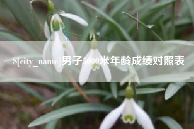 陇南男子5000米年龄成绩对照表