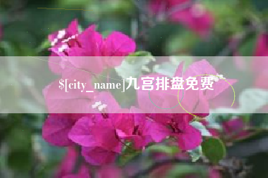 陇南九宫排盘免费
