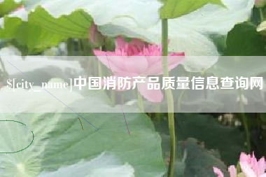 陇南中国消防产品质量信息查询网