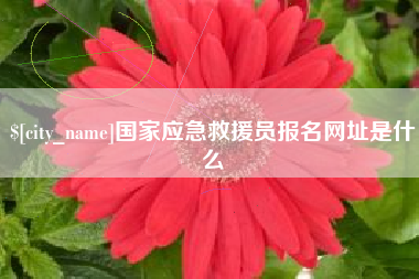 陇南国家应急救援员报名网址是什么