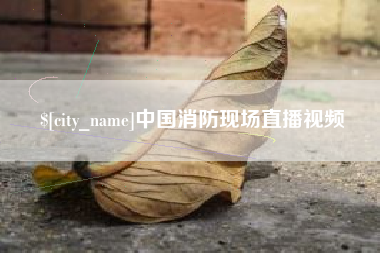 陇南中国消防现场直播视频