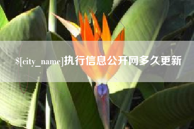 陇南执行信息公开网多久更新