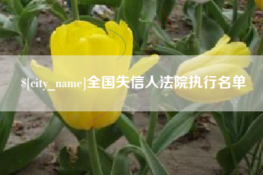 陇南全国失信人法院执行名单