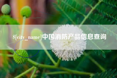 陇南中国消防产品信息查询
