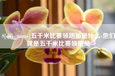 陇南五千米比赛领跑员是什么-他们就是五千米比赛领跑员